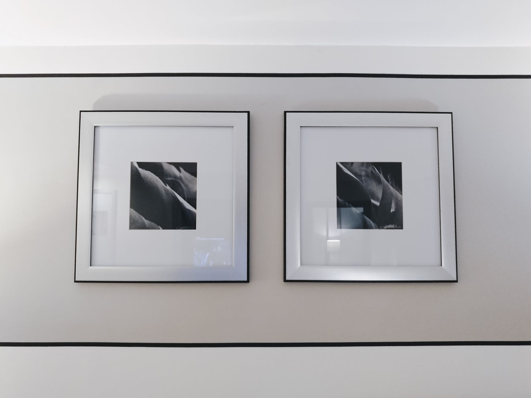 two gray and black flower paintings on wall inside the room
